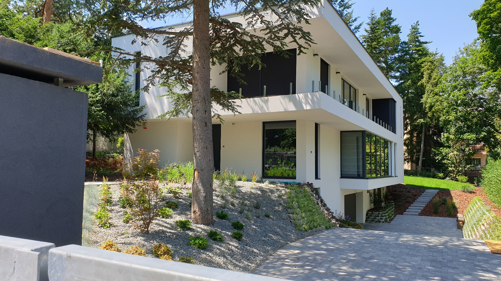 Modern fehér villa előkertje kaviccsal, díszfüvekkel és cédrussal